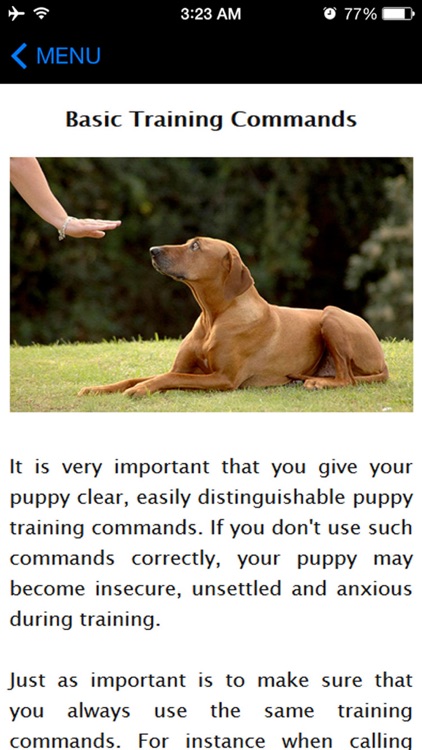 How To Potty Training A Puppy - Complete Guide