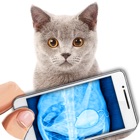 Top 40 Entertainment Apps Like Simulator X-Ray Cat - Best Alternatives