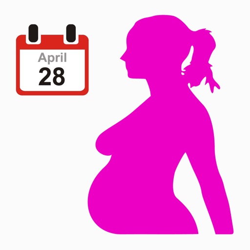Pregnancy Plan - The Guide To Prepare Everything For Pregnancy! icon