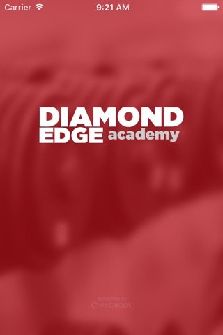 Diamond Edge Academy screenshot 3
