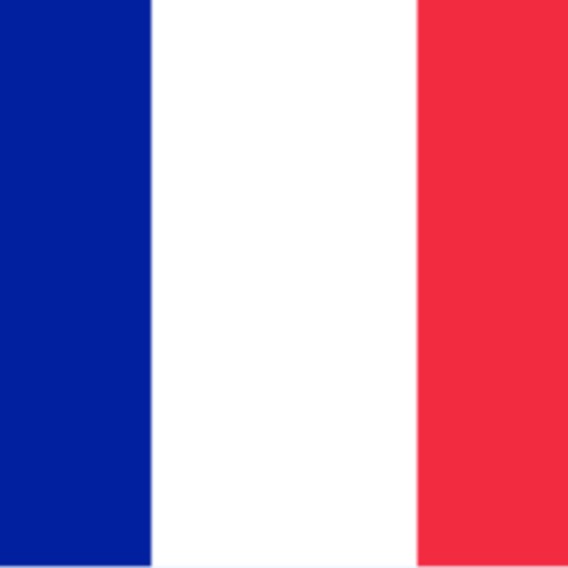 الكرة الفرنسية icon