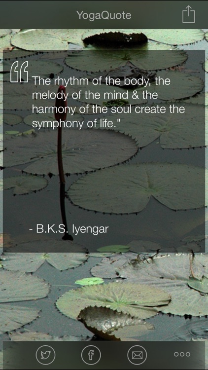 Daily Yoga Quotes - Inspirational Yoga Quote of the Day