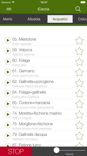 scarica richiamo allodola