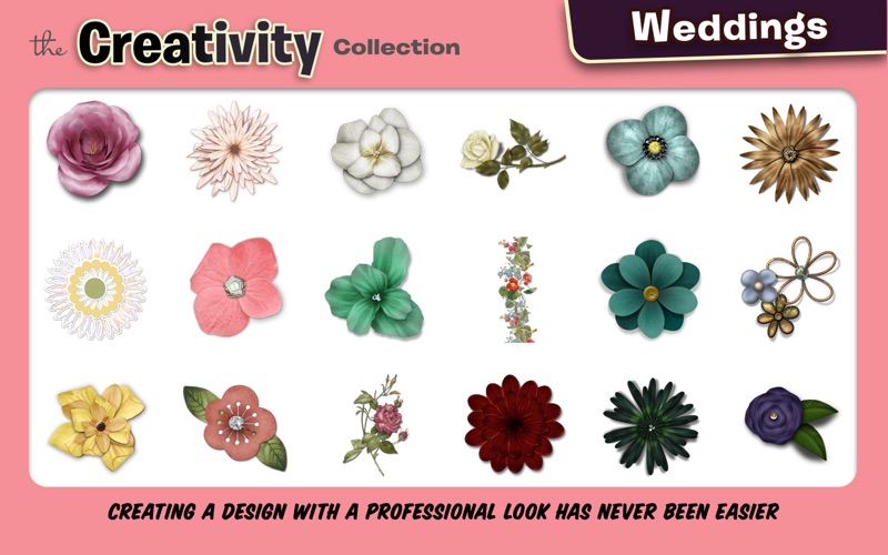Creativity Collection Weddings thumbnail 2