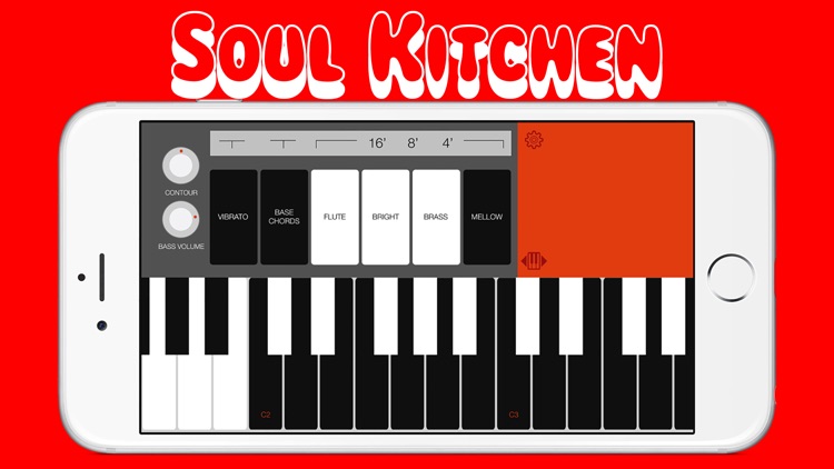 Combo Organ Model V