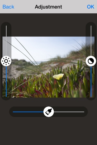 SnapEditor - Edit Make & Create Fast quick edits for your photos screenshot 4