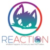 Gully Cat : Reaction