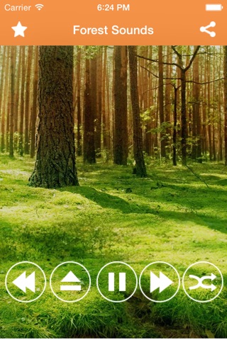 Forest Sounds Relax and Sleep-A Sleep making,Mind relaxing and Mind Therapy app screenshot 3