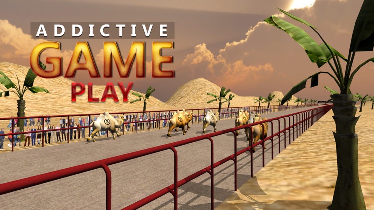 Camel Racing Simulator 3D - Real derby sport simulation game