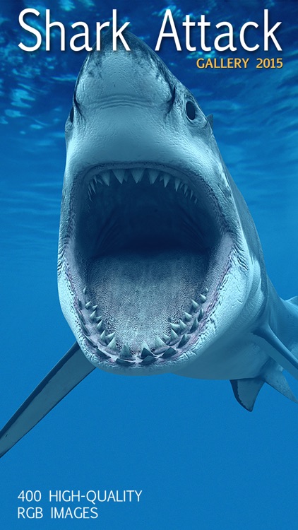 Shark Attack Survival: Great White & Tiger, Blue & Mako, Hammerhead & Whale
