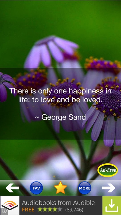 Love Quotes and Sayings! Daily Romantic Valentine’s Day Messages 500 for Teens FREE!