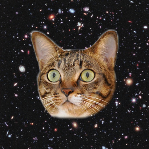 Cats In Space! iOS App