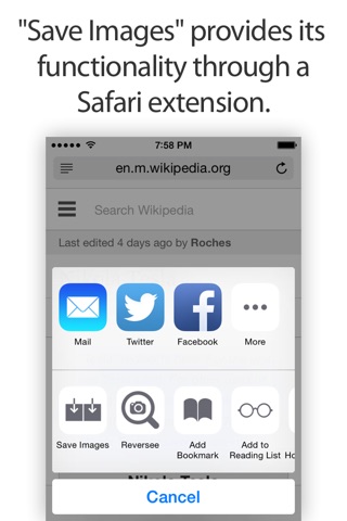 Save Images - Downloader for Safari screenshot 2