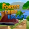 Forest Camp Escape Game