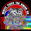 White Tiger Taekwondo, TX