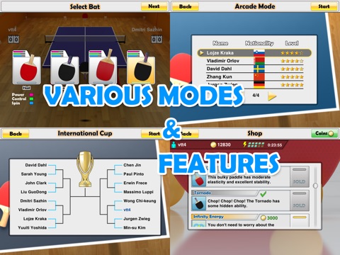 Игра Virtual Table Tennis HD