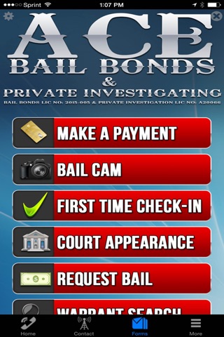 Ace Bail Bonds Of Texas screenshot 3