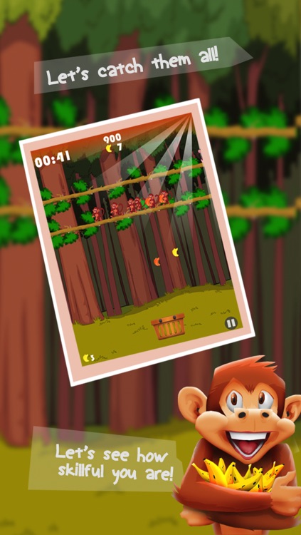 Monkey Quest Rush: Banana Drop Madness