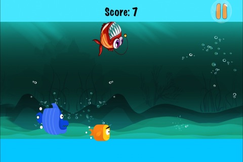 Catch the Fish - Underwater Animal Chasing Rush FREE screenshot 3