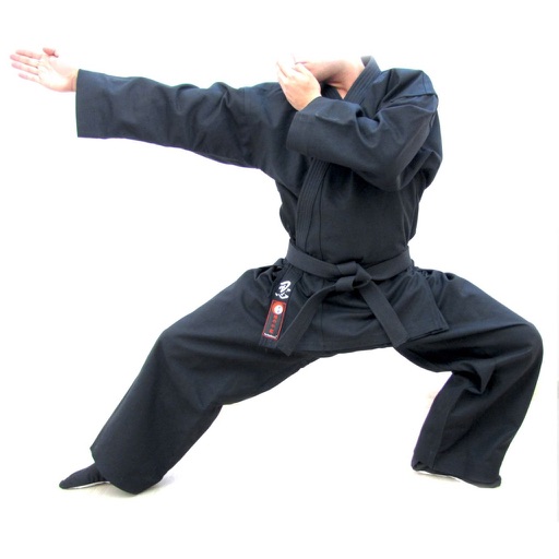 Ninjutsu Master Class icon