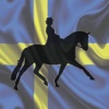 Sterntorp Dressage