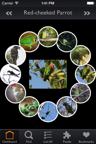 Parrots Encyclopedia Pro screenshot 4