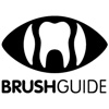 BrushGuide