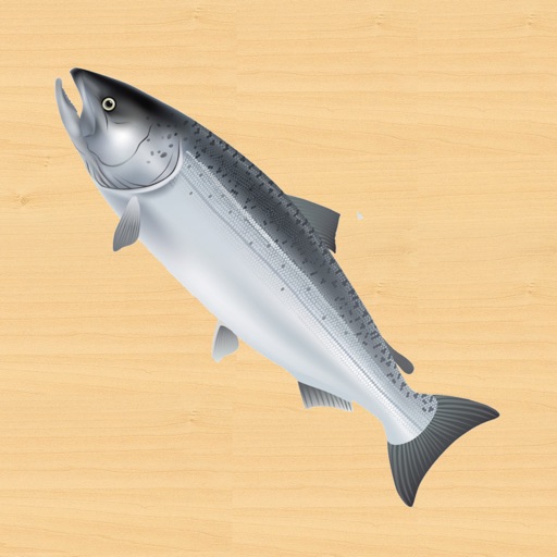 Salmon Game Icon