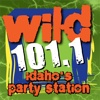 Wild101FM