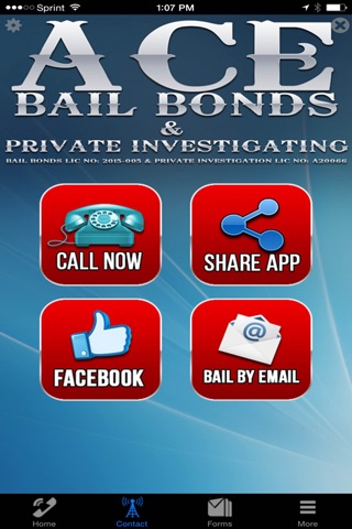Ace Bail Bonds Of Texas screenshot 2