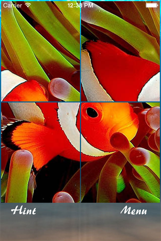 Fish and Water Jigsaw Puzzle screenshot 4