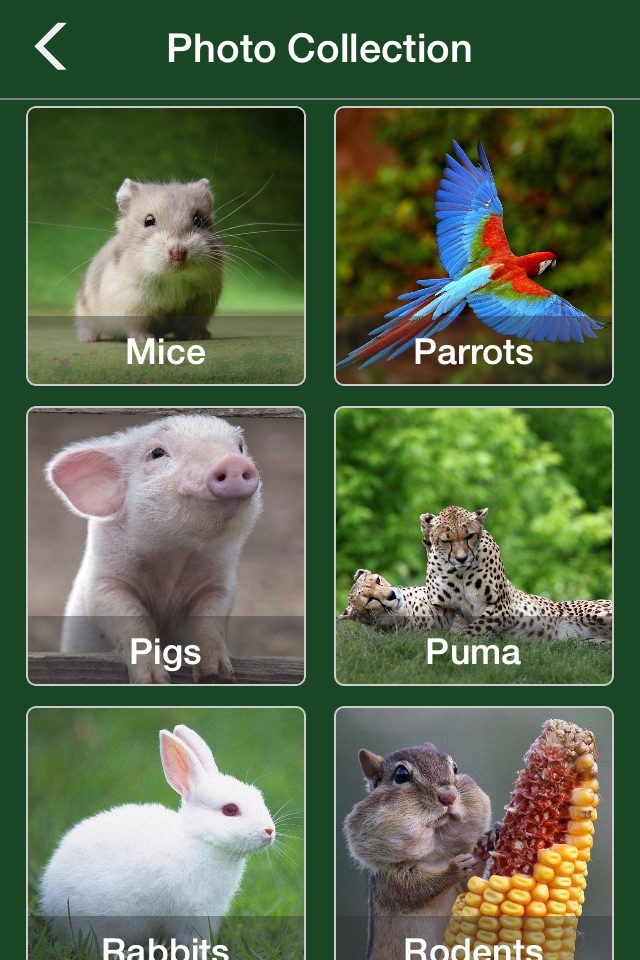 Animal Jigsaw Puzzle - Ultimate swap tile game edition screenshot 3