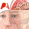 Pocket Brain