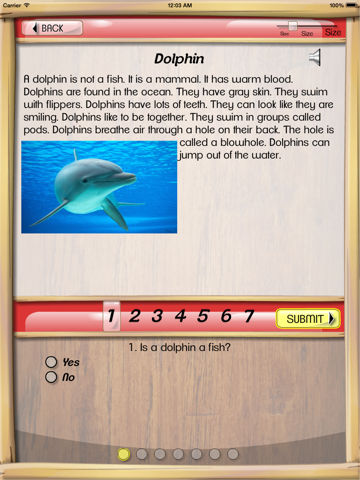 Reading Comprehension - Grades 1st and 2nd With Assessment screenshot 3
