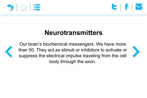 Brain Terminology screenshot 2