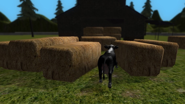 Crazy Cow Simulator - Free screenshot-4