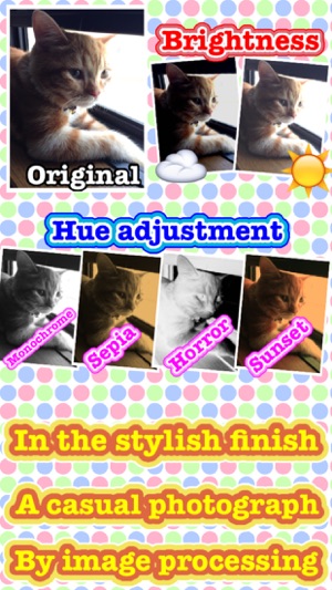 Photo Arrangement(圖2)-速報App