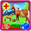 Horse Pregnancy Surgery – Pet vet doctor & hospital simulator game for kids