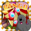 2015 Circus Bingo Casino HD Game