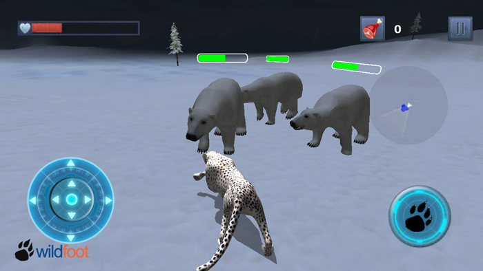 Snow Leopard Chase
