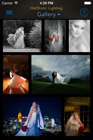 Wedding Hot Shots Lighting by David Ziser screenshot 4