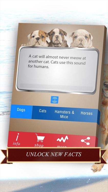 Pets Facts PRO - Trivia for Animal Lovers screenshot-4