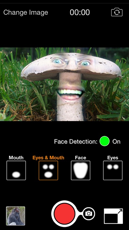 Friend Blender Video - Magical Face Swap Movie Creator