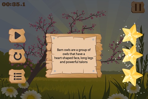 Owls - Learn fun facts about owls while finding matching pairs! screenshot 2