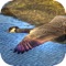 Now use the multiple sounds of the animals to attract the ducks for the hunting and hunt as many ducks as you can using the sounds