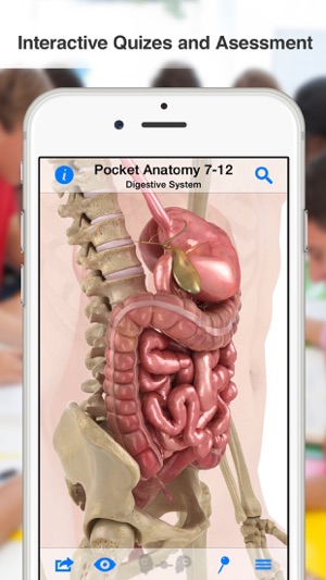 High School Anatomy(圖5)-速報App