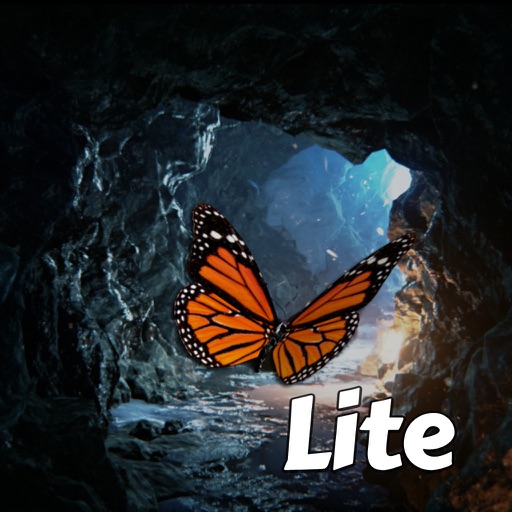 Butterfly Rush Lite iOS App