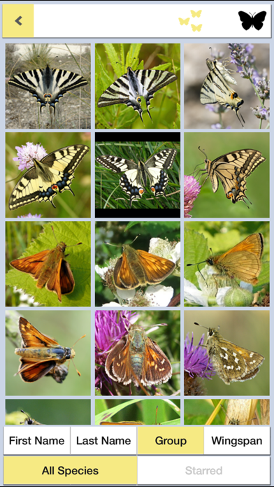 How to cancel & delete Butterfly ID Britain: A Guide to British Butterflies and Day-flying Moths from iSpiny from iphone & ipad 4