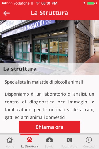 Ospedale Veterinario Masaccio screenshot 2