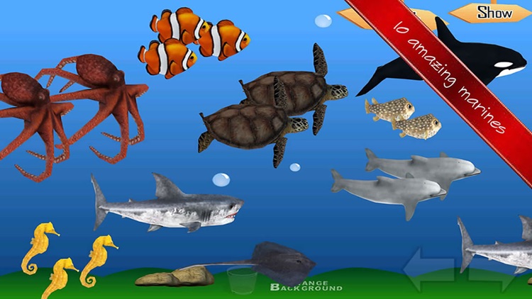 Animals Learn Mathematics - Third Grade screenshot-4